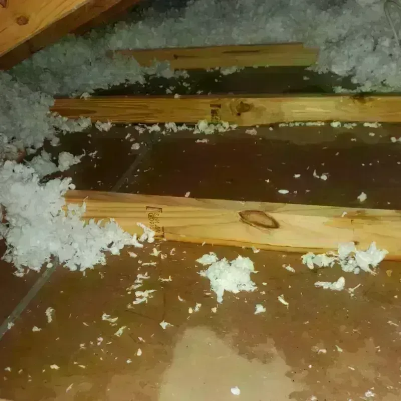 Attic Water Damage in River Oaks, TX